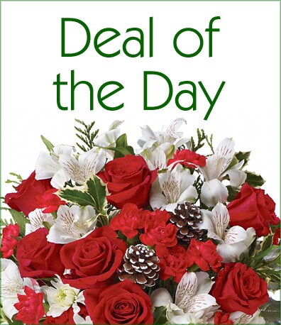 Christmas Deal of the Day